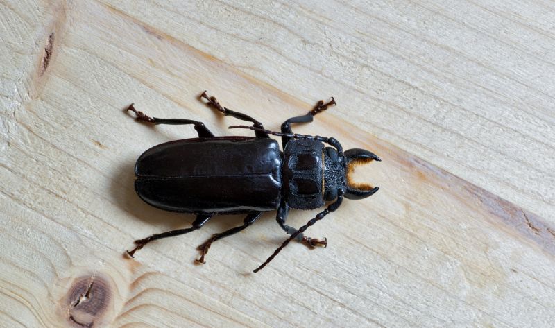 Common Pitfall to Avoid