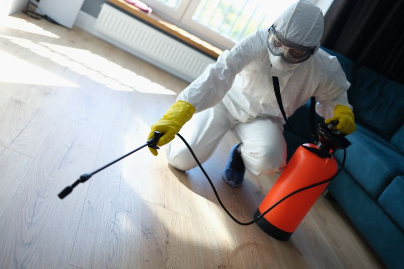 Beetle Removal in Arlington, TX