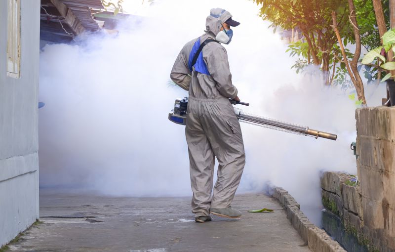 Fly Pest Control in Frisco, TX