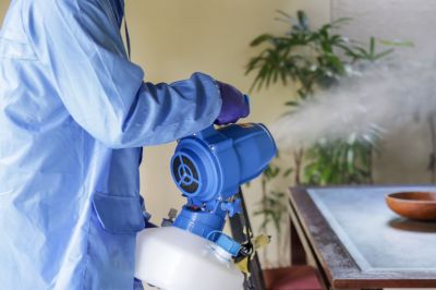 Fumigation Service in Madison, WI