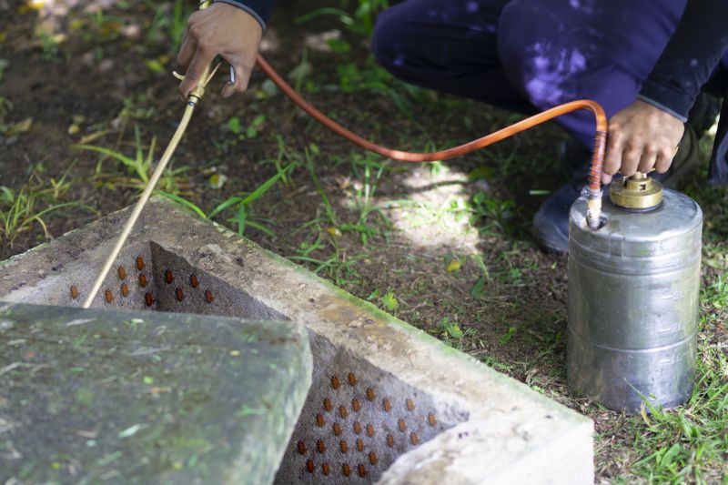 Spider Fumigation Service in Davis County, UT